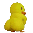 Daddy Duck